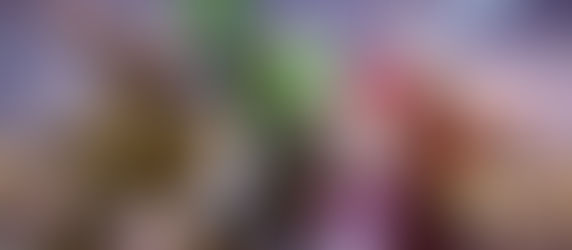 Descubra Marvel Rivals no Brasil: Uma Jornada de Super-Heróis e Aventuras!