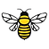 bee png-01.png