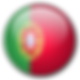 flag (3).png