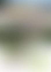 多気彩幸通信「いろどり」令和8年夏号