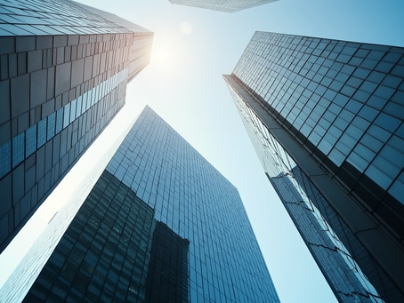 Sarva Capital and Credit Solutions