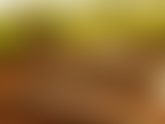 From Rent to Roots: The Journey to a Forever Home