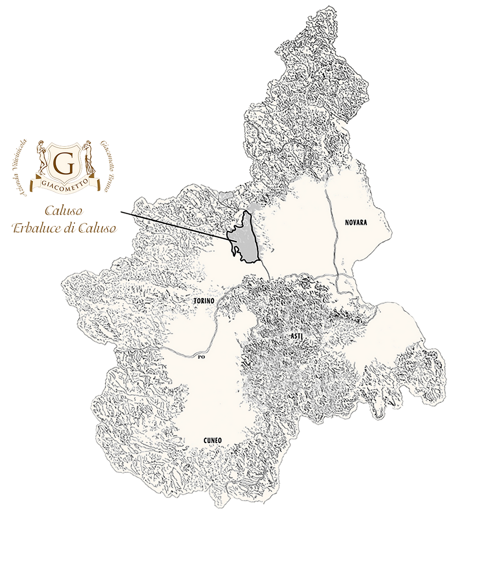 Cartina-Cantine-e-Vini-Piemonte-(1).png