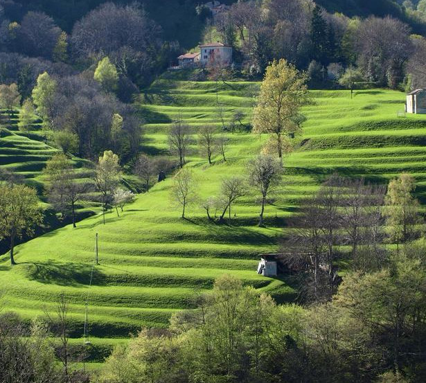 WhatsApp Image 2025-07-23 at 14.37.33.jpeg