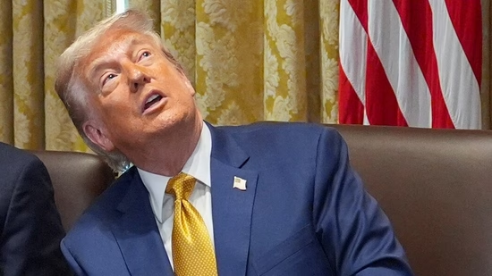 Trump Tariffs US President US Politics