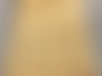 Silk Island silk fabric