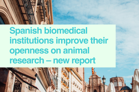 Spanish biomedical institutions improve their openness on animal research – new report