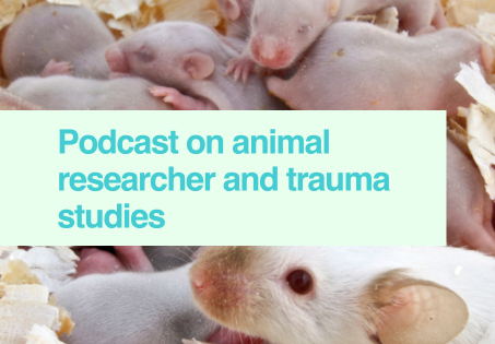 Podcast: animal researcher & trauma studies
