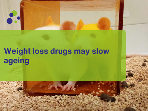 Weight loss drugs may slow ageing