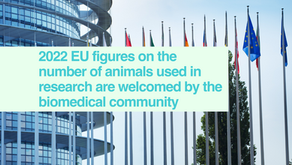 2022 EU figures on the number of animals used in research are welcomed by the biomedical community