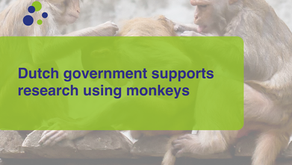 Dutch government endorses research using monkeys