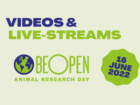 Be Open About Animal Research Day 2022: Videos & live stream interviews