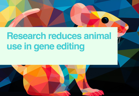 Research reduces animal use in gene editing