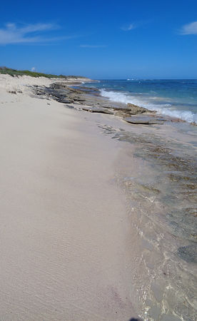 DSC00249-recadre.jpg