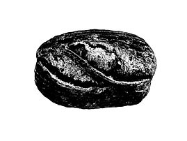 Brot_Header_Brotstudio_edited.jpg
