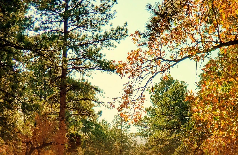 見積りソン2024秋