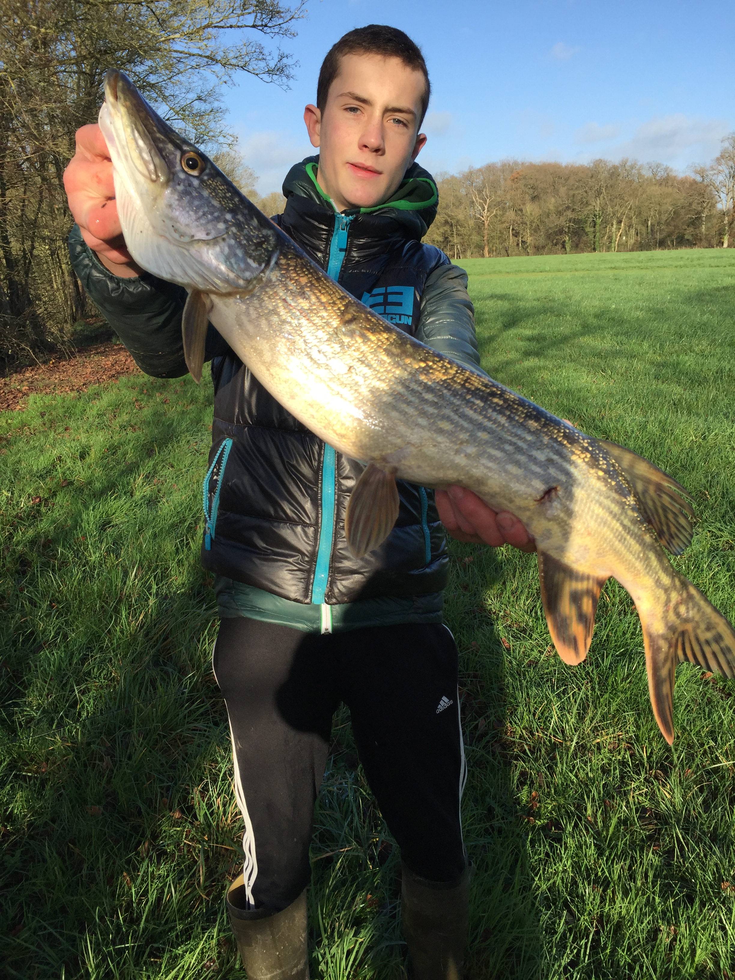 brochet-72-Jeremie