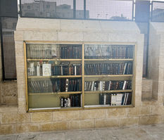 Books in the women's section of the western wall