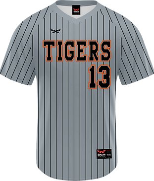 B38_Tigers-2_FullSub #13.png