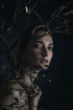 Beautytree