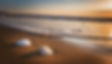 Firefly fotorealistisches Foto von einem Strand und zwei kleinen Muscheln die auf auf der