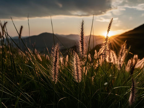 Ängste: Unsere verborgenen Helfer der Psyche