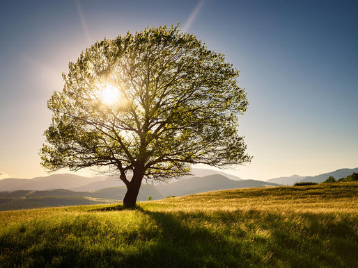 Was es bedeutet, Heilpraktikerin für Psychotherapie zu sein