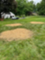 Stump Grinding