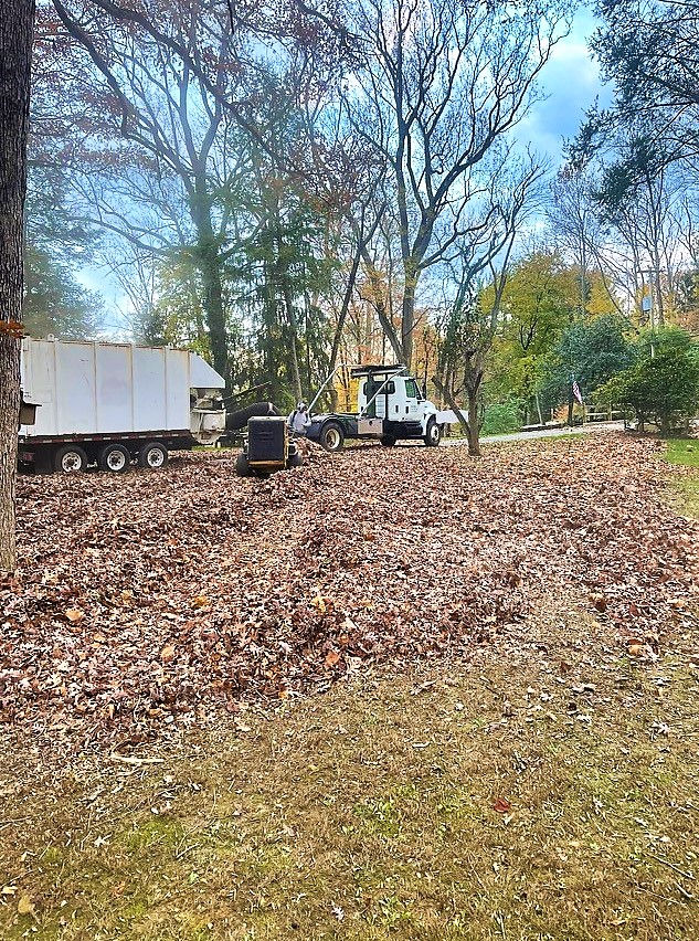 Spring & Fall Cleanups