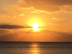 image0 (9)