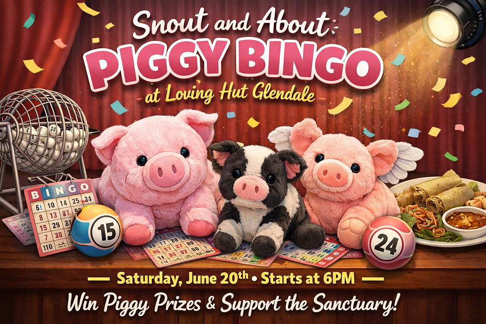 ChatGPT Image Apr 1, 2026 at 07_39_50 AM.png