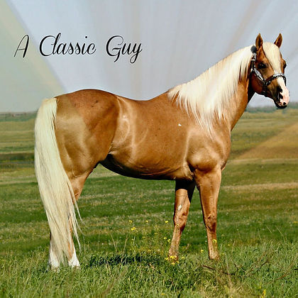 A Classic Guy