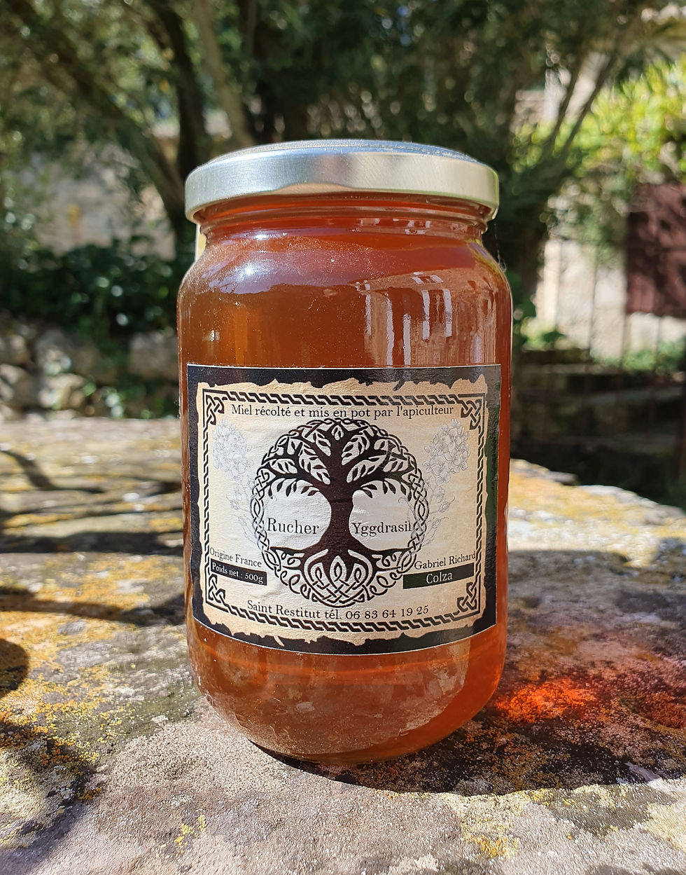Miel de Colza