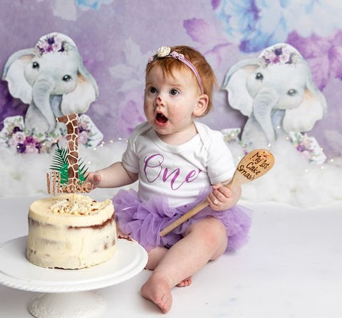 2Lilac elephant themed cake smash
