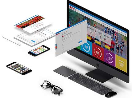 professional website