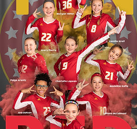 Team Poster Alt - 10 Red web.jpg