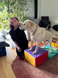 Hundephysiotherapie