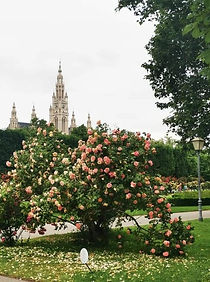 Sehenswürdigkeit Wien