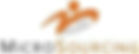 MICRO SOURCING.jpeg