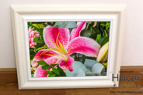 Quadro For Rosa