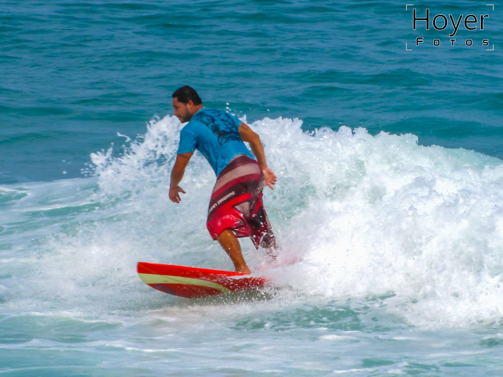 Surf
