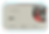 4website.png