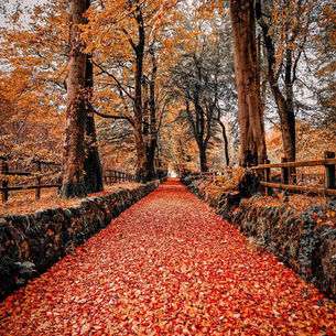 WEEK 1: Welcome to Autumn at Happy Kids – A New Term of Curiosity, Wonder & Discovery