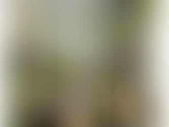 夏の元気に育ったブルーベリー😊。ホームベルとウッダード!