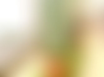 eucalyptus