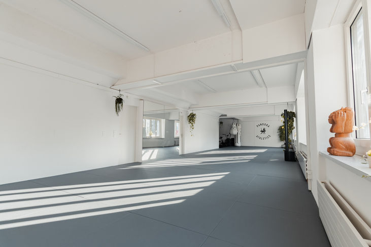 Pandora Athletics Dojo