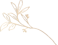 Vector Smart Ojnbject.png