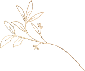 Vector Smart Ojnbject.png
