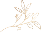 jugjhk.png