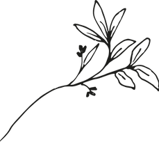Vector Smart Object.png